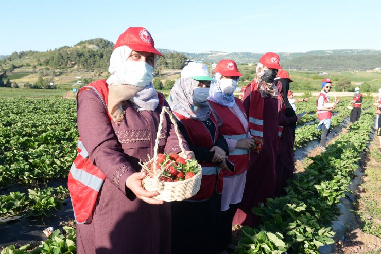 Bakan Pakdemirli: Tarım, Yüzde 5'e Varan Büyümeyle Ekonomiye Büyük Katkı Sağladı (4)