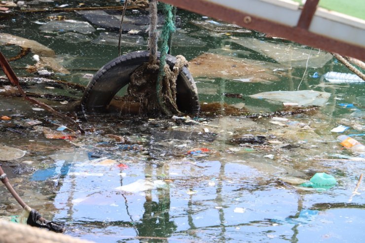 Samandağ Sahilindeki Kirlilik Deniz Kaplumbağalarını Tehdit Ediyor