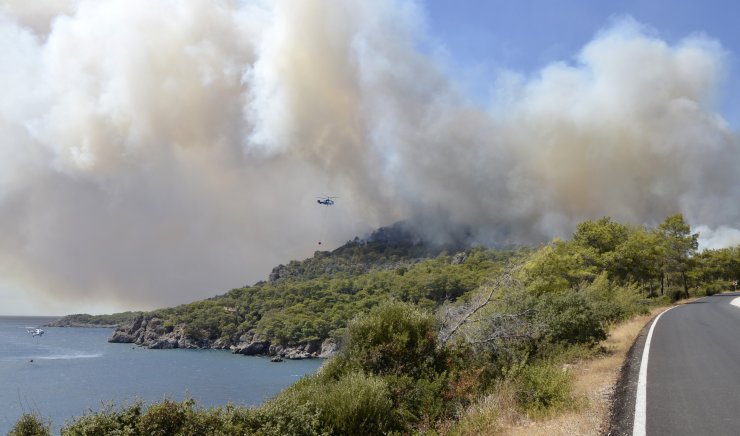 Antalya'da 3 Günde, 22 Yangında 80 Dekar Kül Oldu