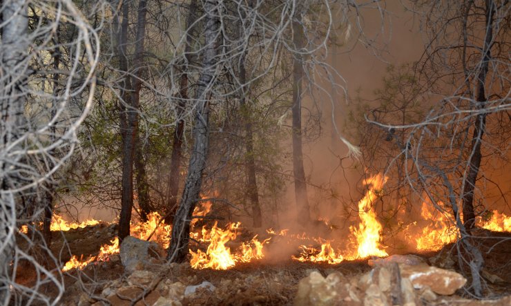 Antalya'da 3 Günde, 22 Yangında 80 Dekar Kül Oldu