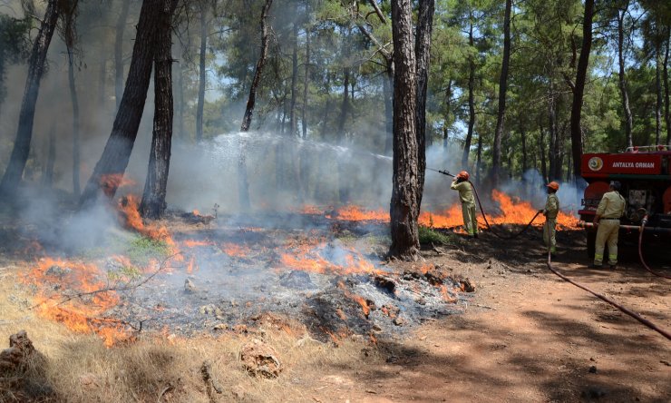 Antalya'da 3 Günde, 22 Yangında 80 Dekar Kül Oldu