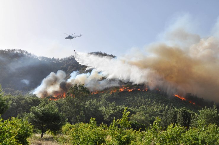 Antalya'da 3 Günde, 22 Yangında 80 Dekar Kül Oldu