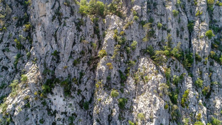 Ukraynalı Yana'yı Arayan Ekip, Dağın Her Metrekaresini Tarıyor