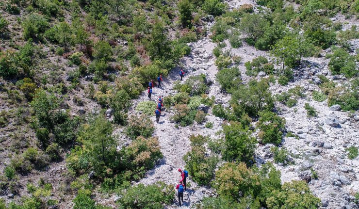 Ukraynalı Yana'yı Arayan Ekip, Dağın Her Metrekaresini Tarıyor