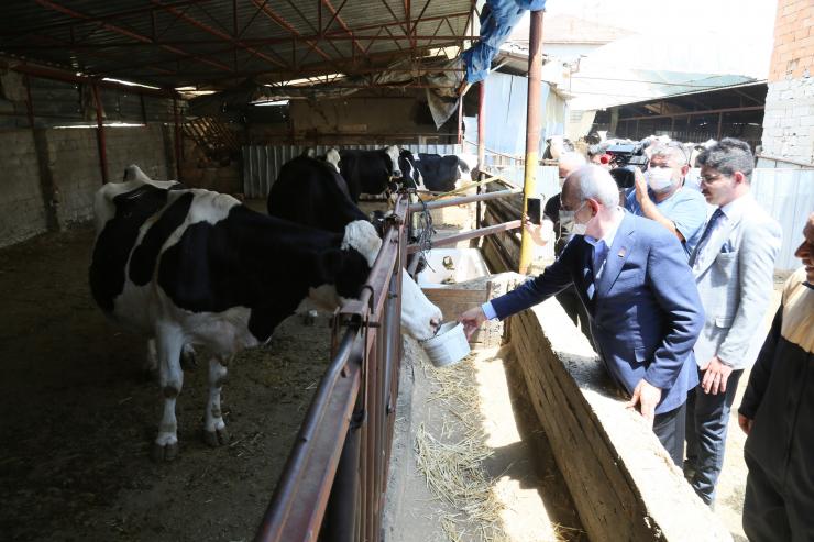 Kılıçdaroğlu, Gün Doğumunda İşçilerle Gül Topladı (3)