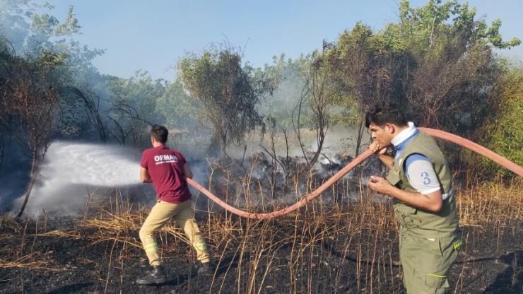 Datça'da Alevler Buğday Ekili 13 Dönüm Alanı Küle Çevirdi